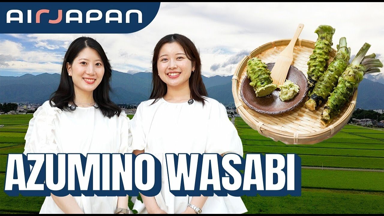 Exploring Wasabi & Scenic Cycling in Azumino, Nagano — with AirJapan Cabin Attendants