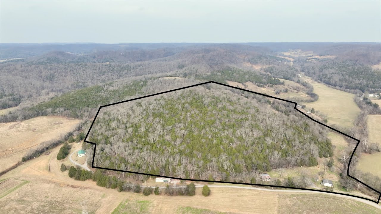 329 Cavender Rd Woodbury TN 37190