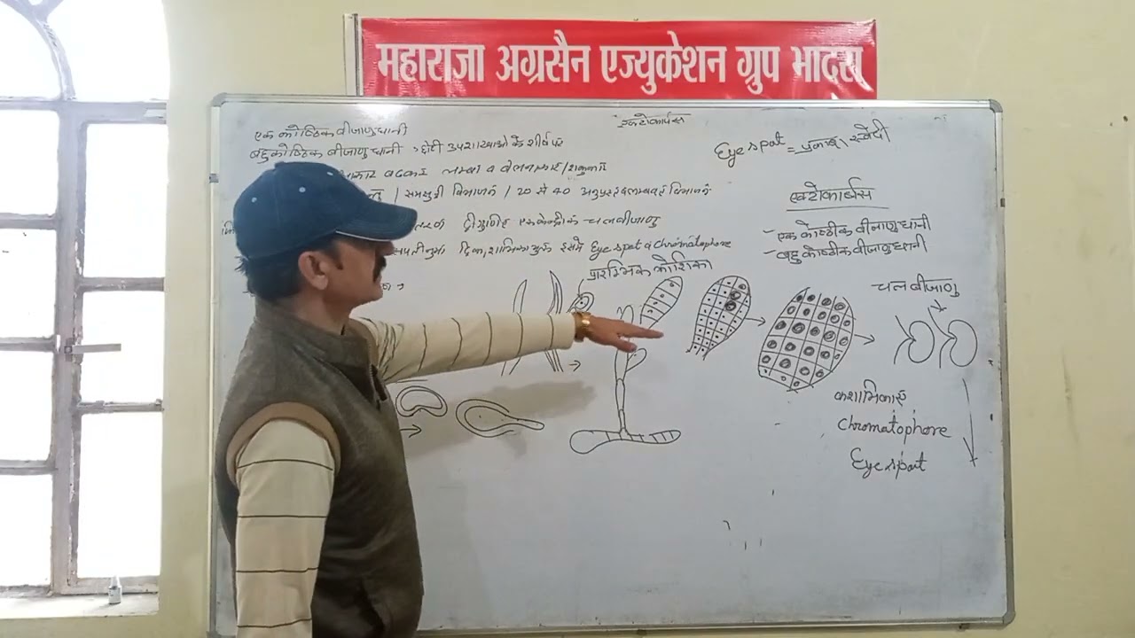 B.Sc B.Ed 1st Year Botany 13.02.26