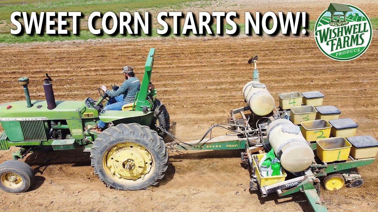 Planting Day LIVE! Sweet Corn Hits the Ground at Wishwell Farms 🌽🚜