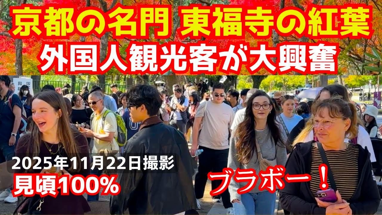 東福寺は京都駅からアクセス抜群の紅葉の名所 外国人観光客も偃月橋からの絶景に感極まる