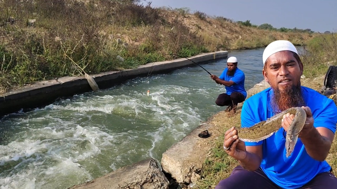 Mastering the Art of Catching Tyre Track Eelfish Live Fishing Techniques Revealed! How To Catch &put