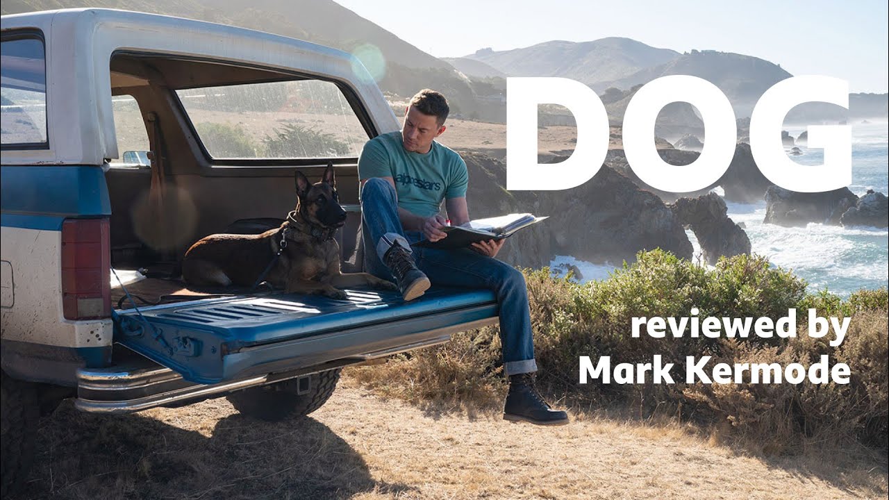 Dog reviewed by Mark Kermode