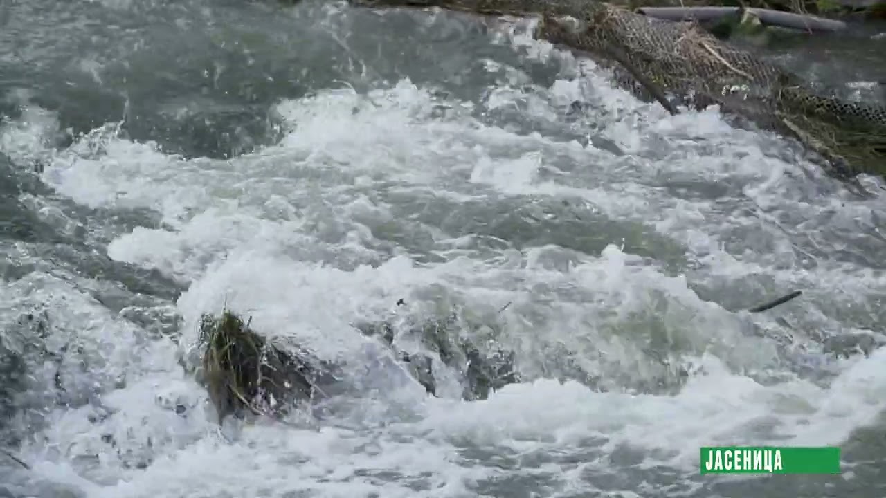 Reke i jezera - Jasenica