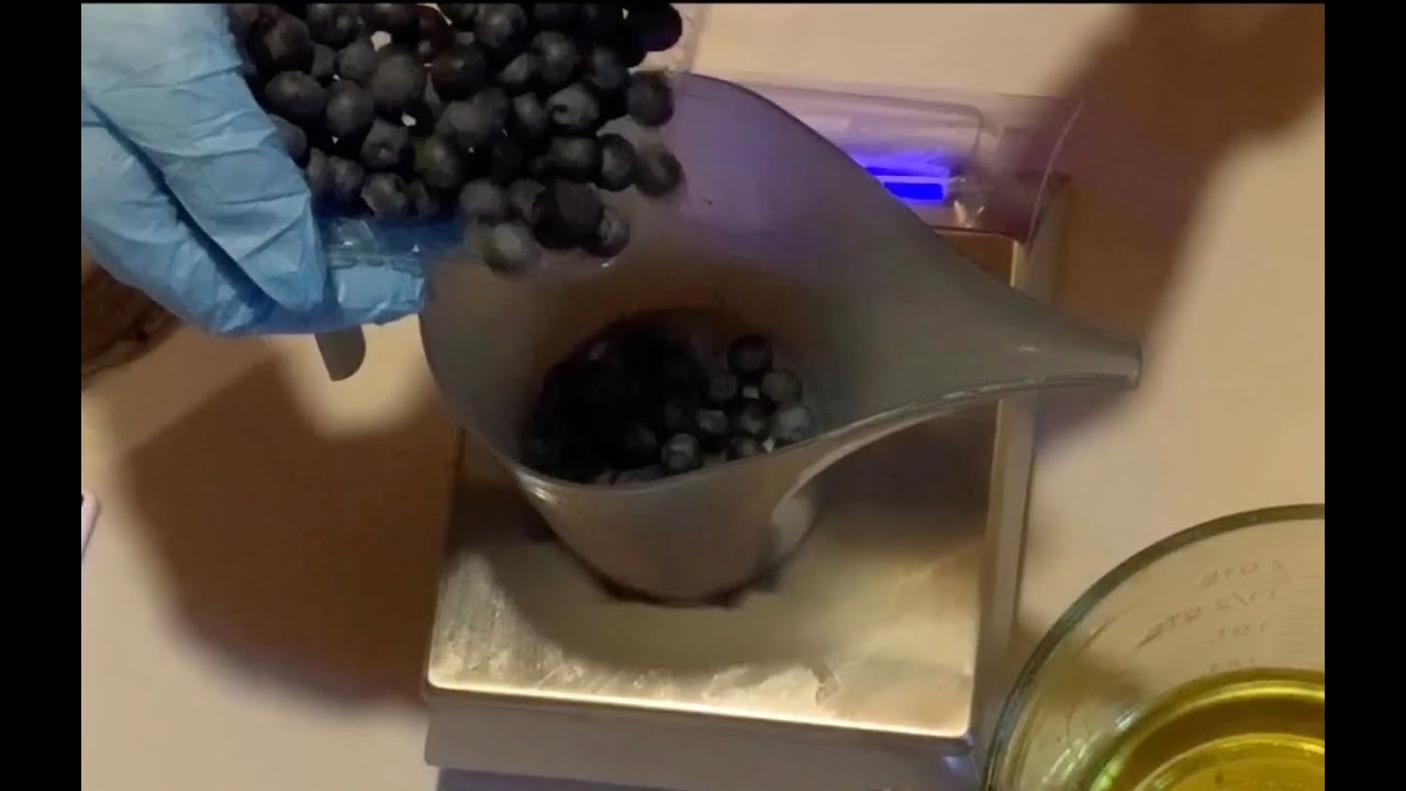 Cold Process Soap Experiment: Using Fresh Blueberries! Includes bonus lather test