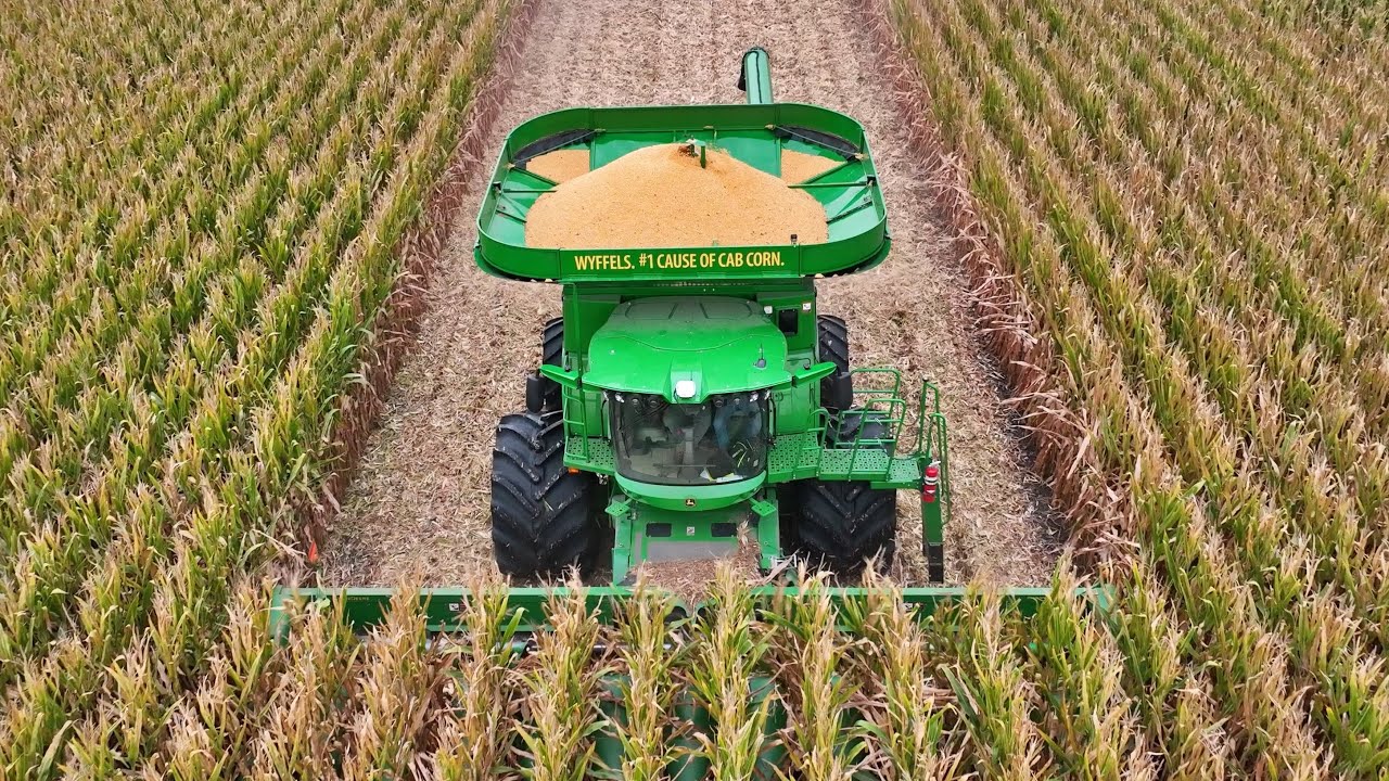 New Combine is a Corn Eating Machine!  Corn Harvest 2023