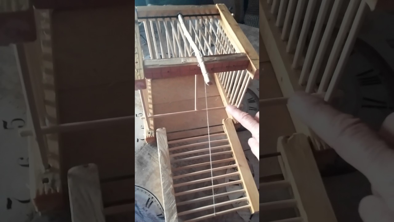 Mi trampa para aves enero 2017