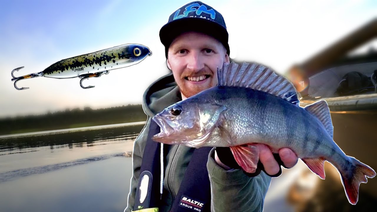 L&auml;r dig fiska ytbeten - Lets Fish Movies