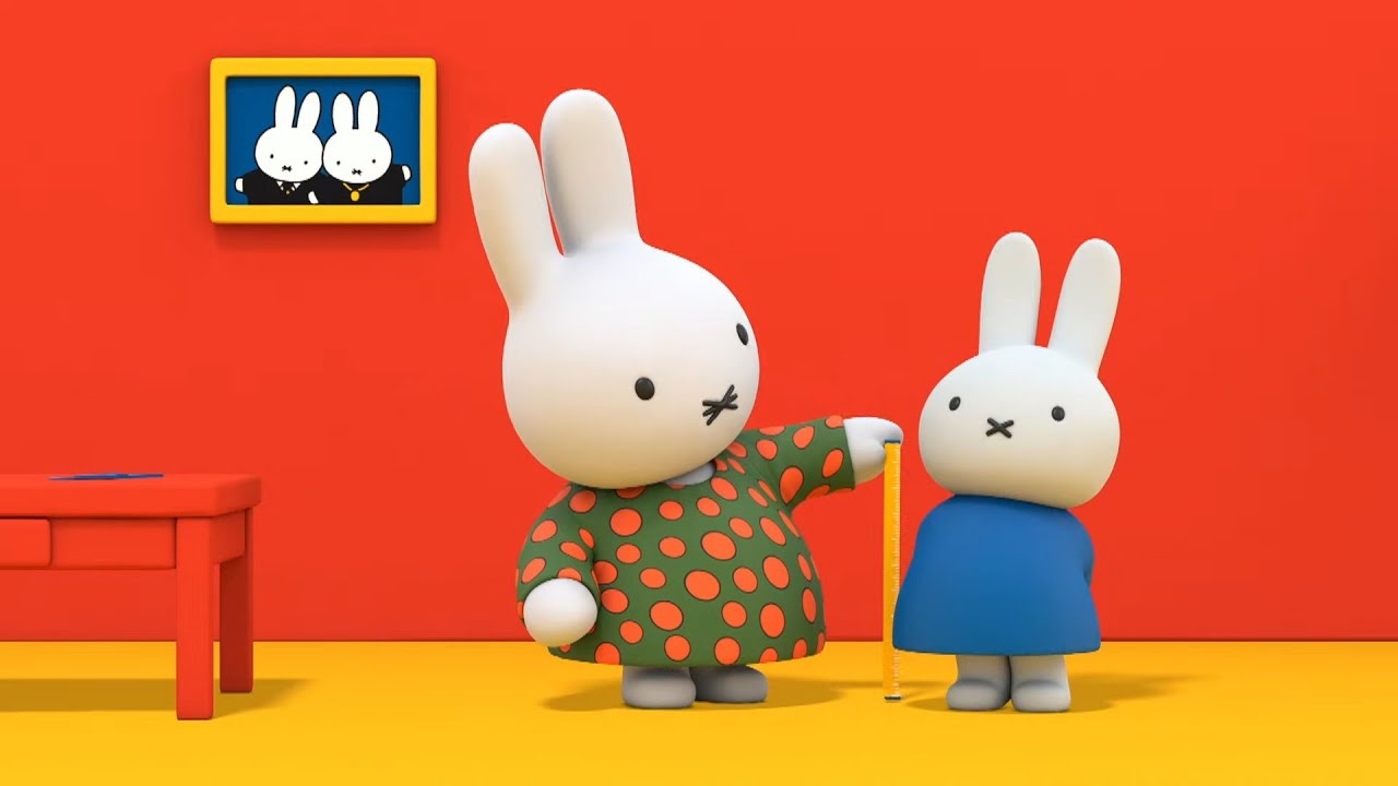 How tall is Miffy? | Miffy | Cartoons for kids
