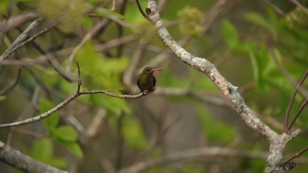 Parque Nacional Cerro Corá