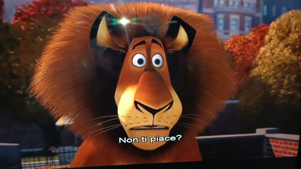 Madagascar (2005) 1/21 Marty la Zebra fa gli auguri ad Alex il Leone 
