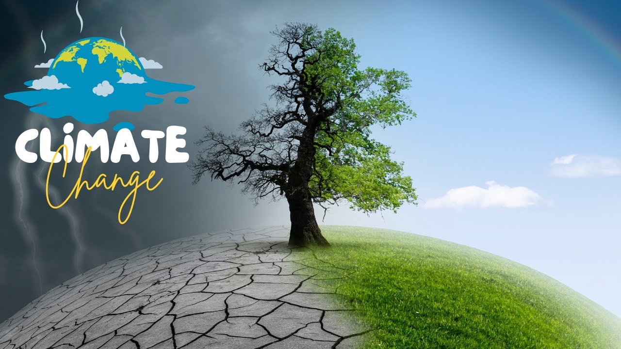 Top 10 Surprising Facts About Climate Change You Need To Know | Climate Change Facts | Fact Files
