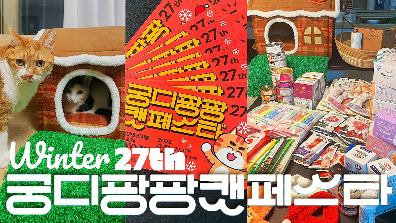 겨울 궁디팡팡에 다녀왔습니다! #궁디팡팡 #세텍 #캣페어