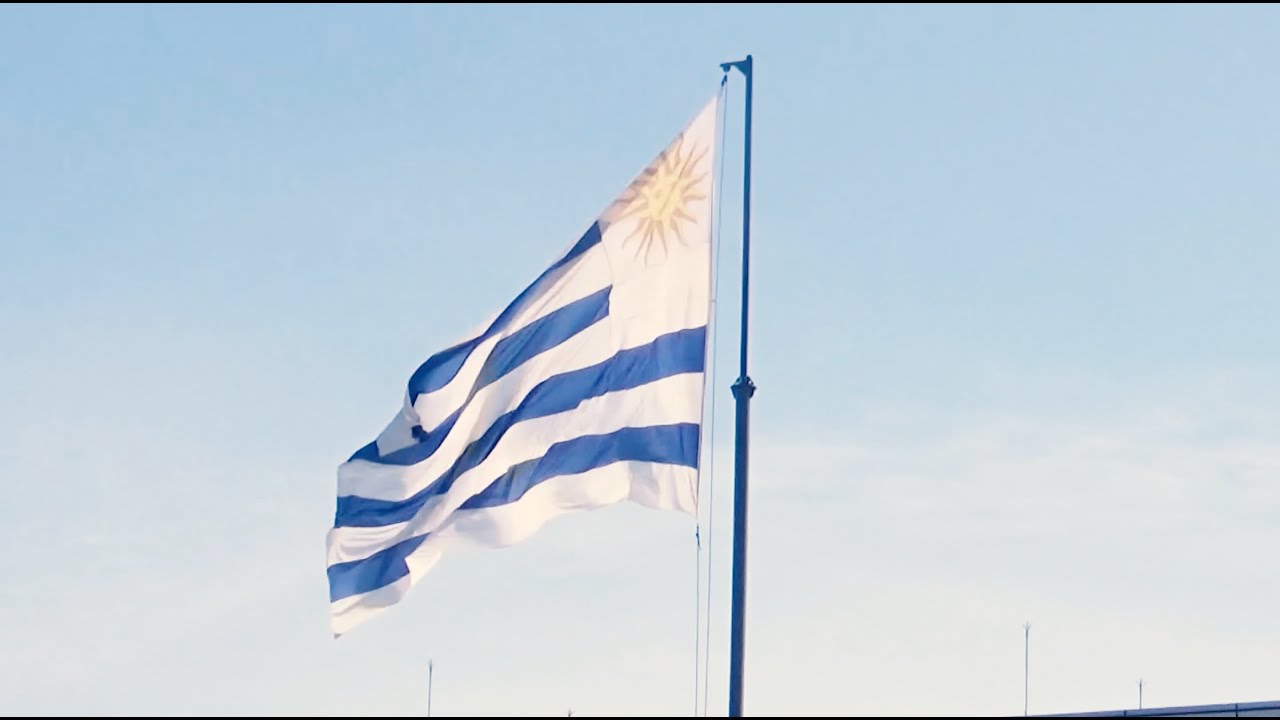 festival buena vibra, uruguay