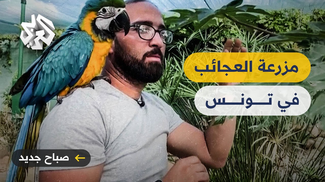مزرعة العجائب في تونس .. طيور ونباتات نادرة تجتمع في مكان واحد