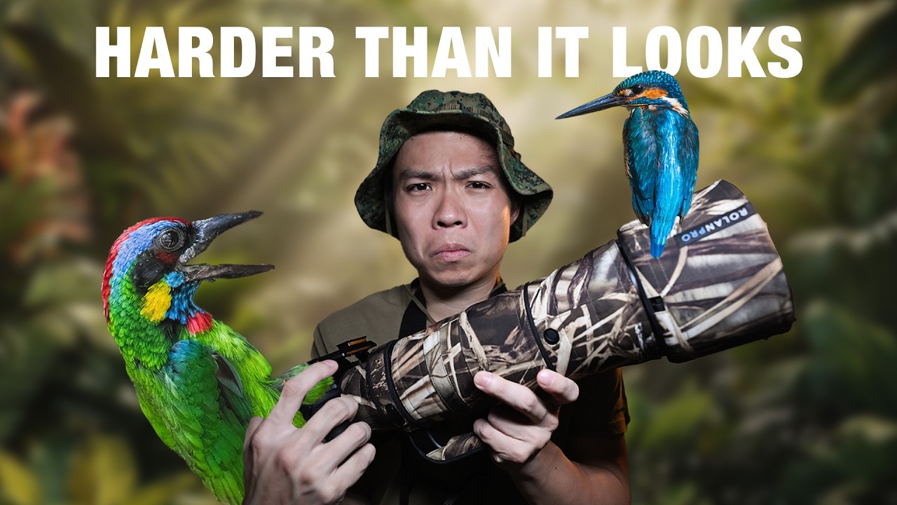 Why BIRD Photography is INSANELY DIFFICULT (and how to make it easier)