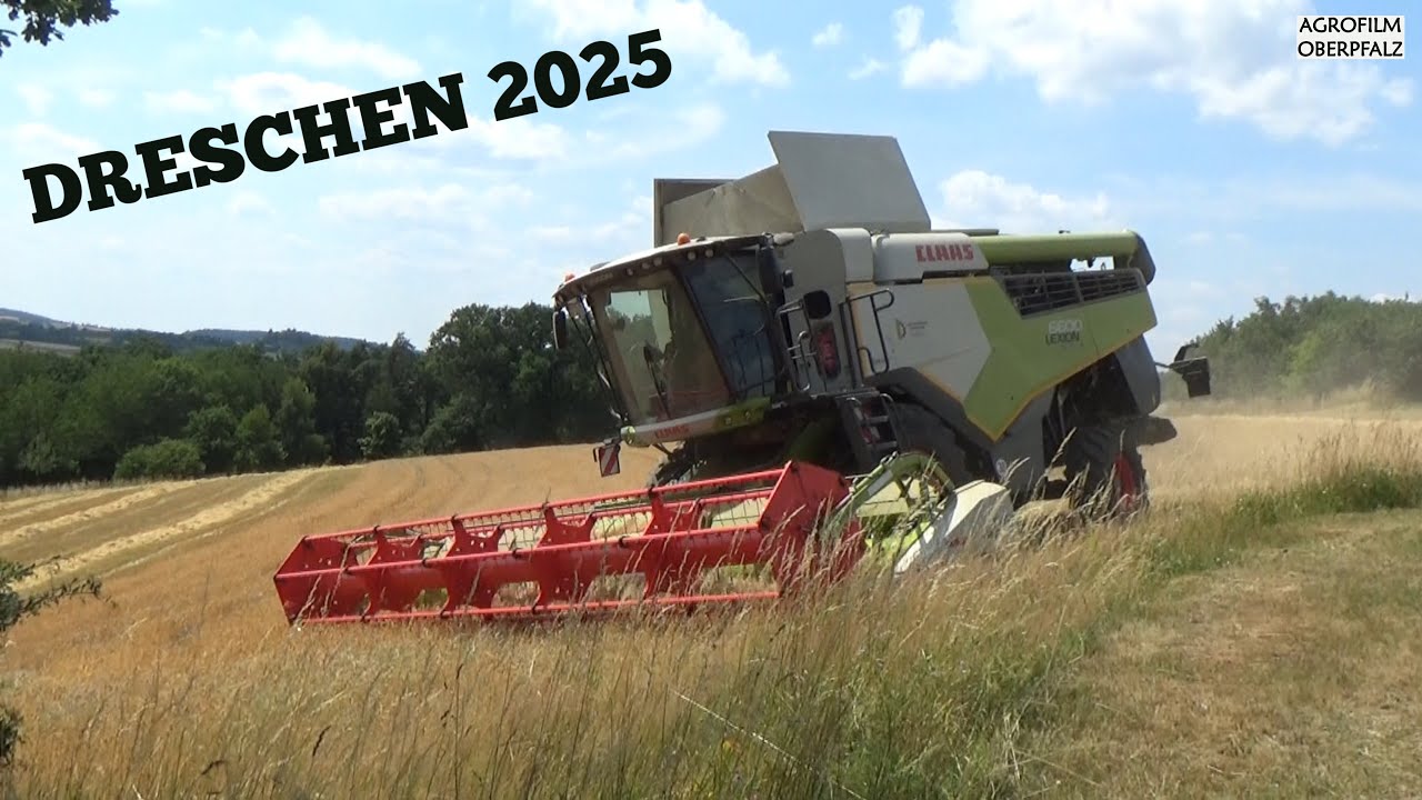 Startschuss Dreschen 2025 - Die Wintergerste fällt - Claas Lexion 6600 - LU Ruhland startet durch