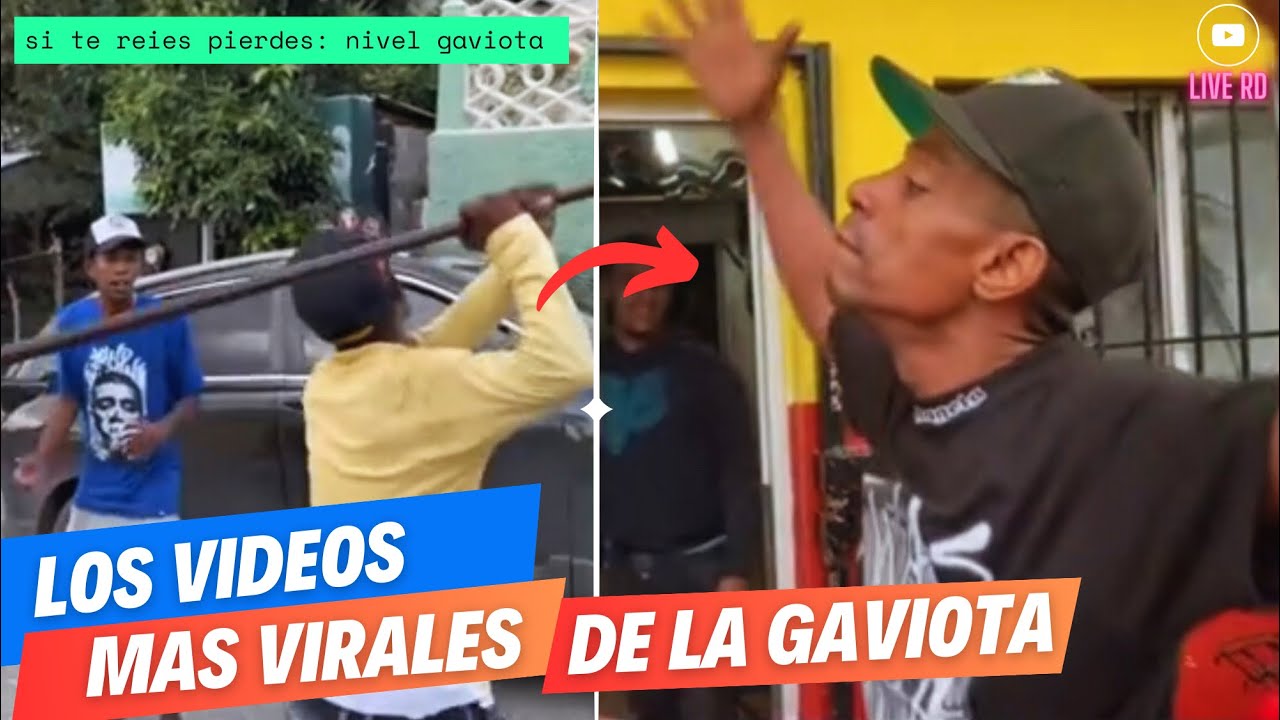 LOS VIDEOS MÁS CHITOSOS DE LA GAVIOTA🤣🤣/parte 2