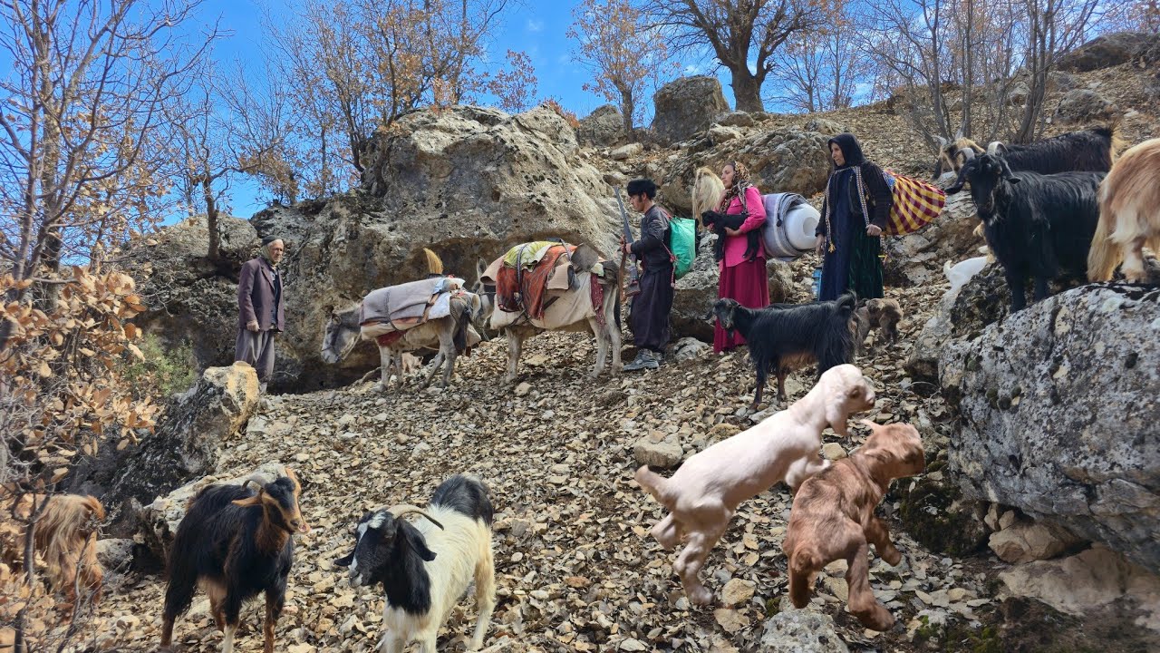 Nomadic life in forced migration Cave shelter in the mountains for survival