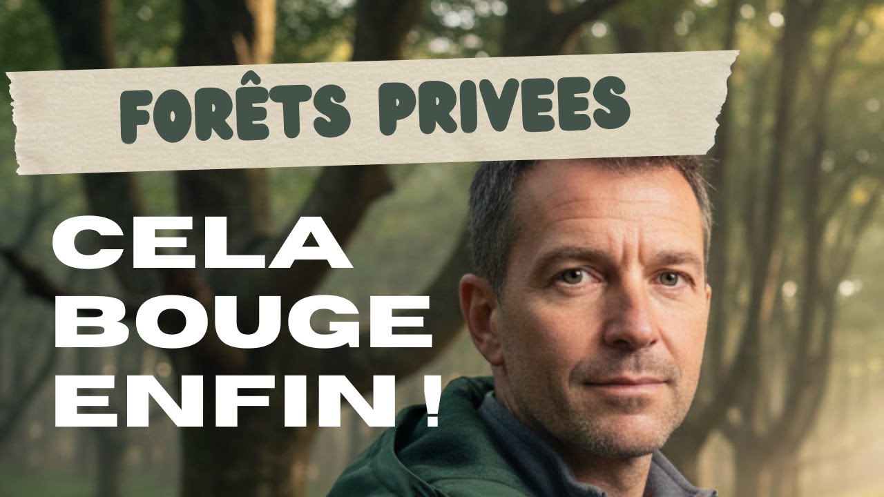 Innovation et résilience des forêts
