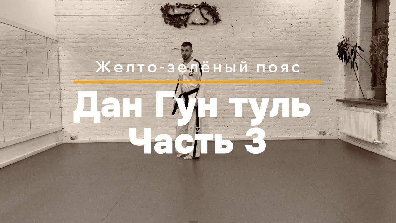 Дан Гун туль. Часть 3 | Связки блоков. Тхэквондо для желто зеленого пояса