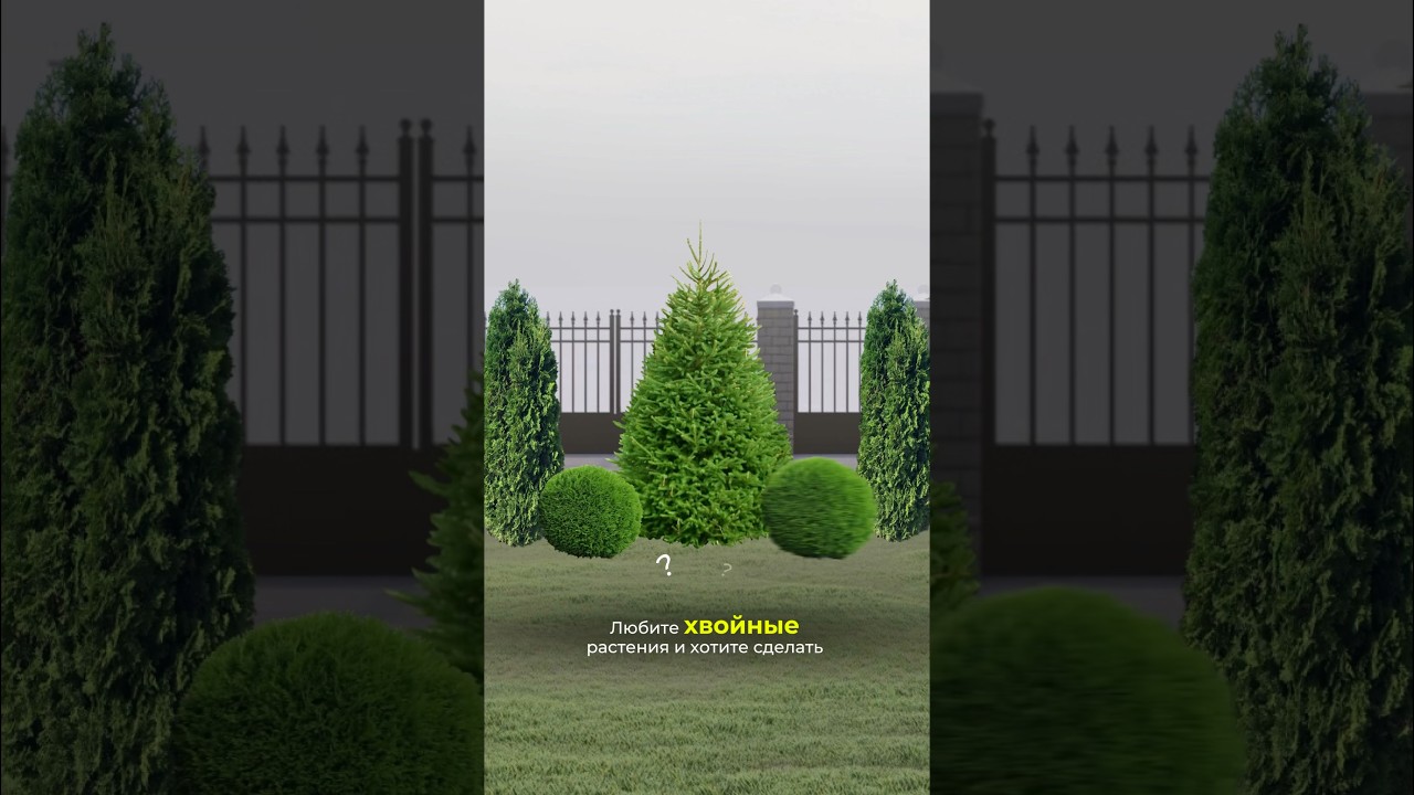 Современная хвойная композиция для вашего сада #ландшафтныйдизайн #хвойнаякомпозиция #сад #ландшафт