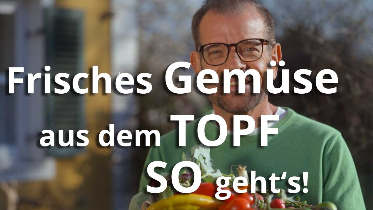 Frisches GEM&Uuml;SE aus dem TOPF - SO geht's!