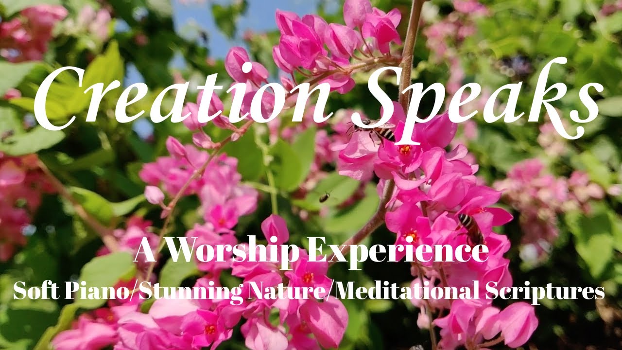 Creation Speaks: A Worship Experience of soft piano with beautiful nature with scripture meditations
