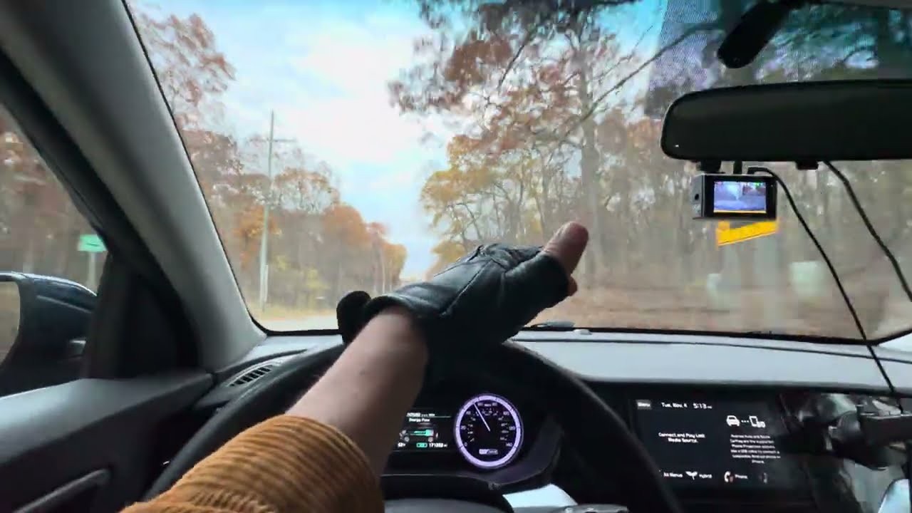 123 🇺🇸 Cadılar Bayramı Sonrası Detroit Kazançları 