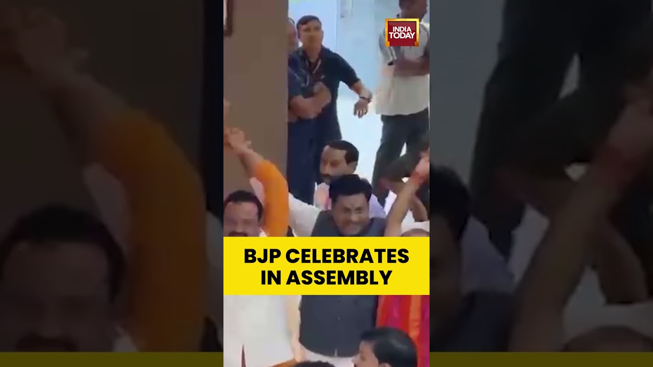BJP Leaders Celebrate In Assembly After Congress's Meenakshi Natarajan's RS Nomination Is Rejected