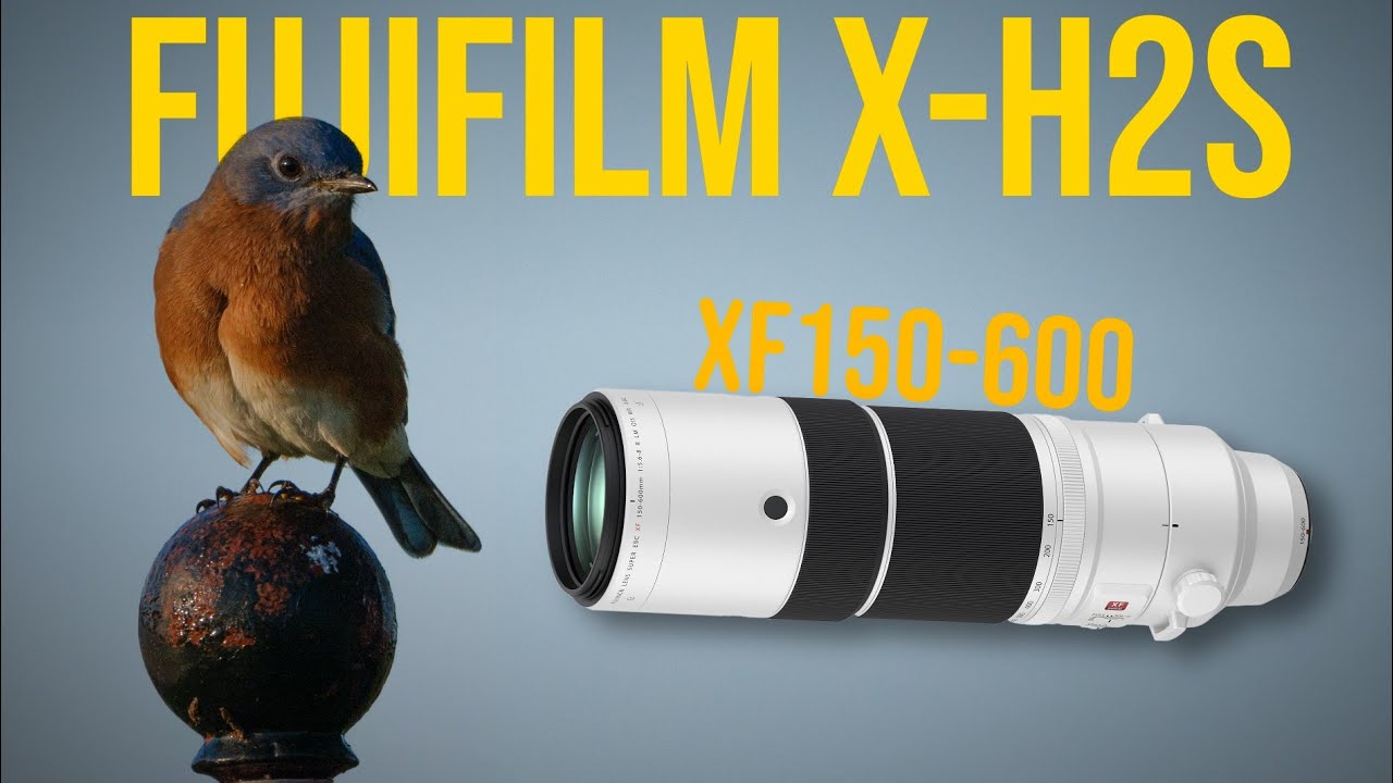 Fujifilm XH2S + XF150-600 Bird Photography - Chill Photo Walk