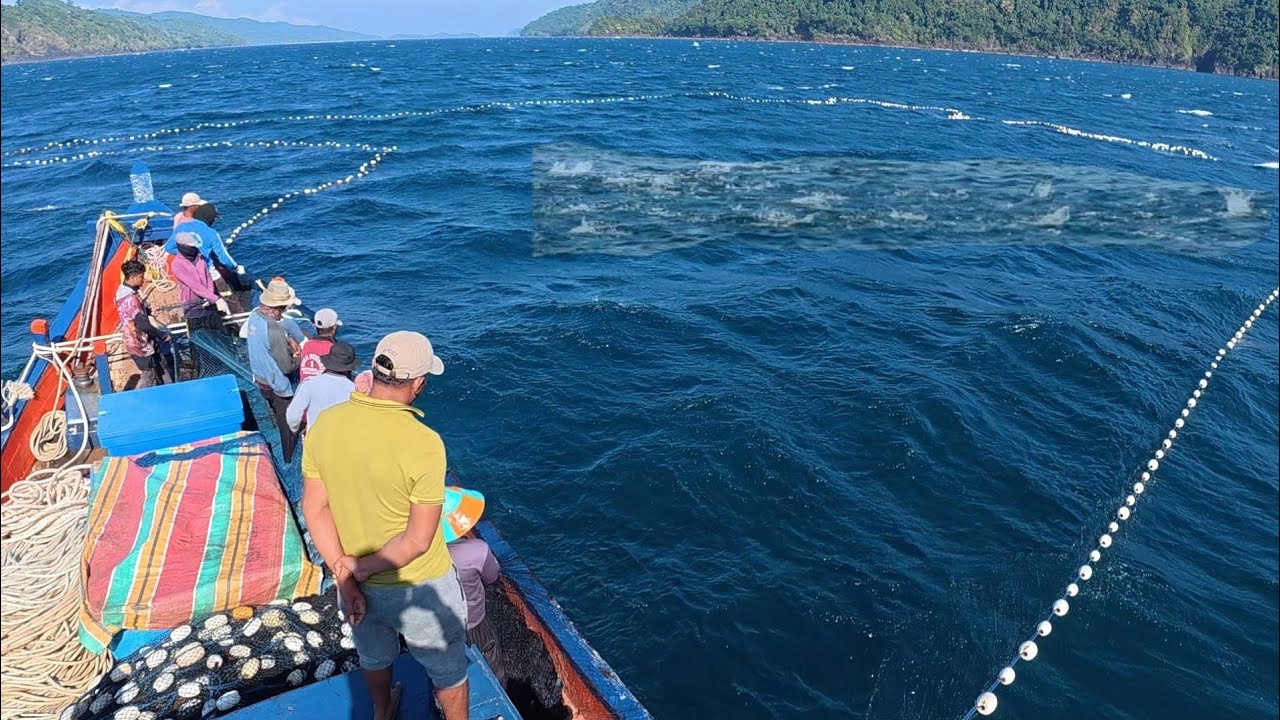 Pukat cincin, Nelayan Indonesia Dapat Banyak Ikan, luar biasa hasil tangkapan nelayan Indonesia