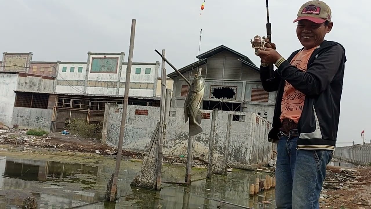 Mancing Nila Babon #mancing #mancinghappy #mancingnilababon