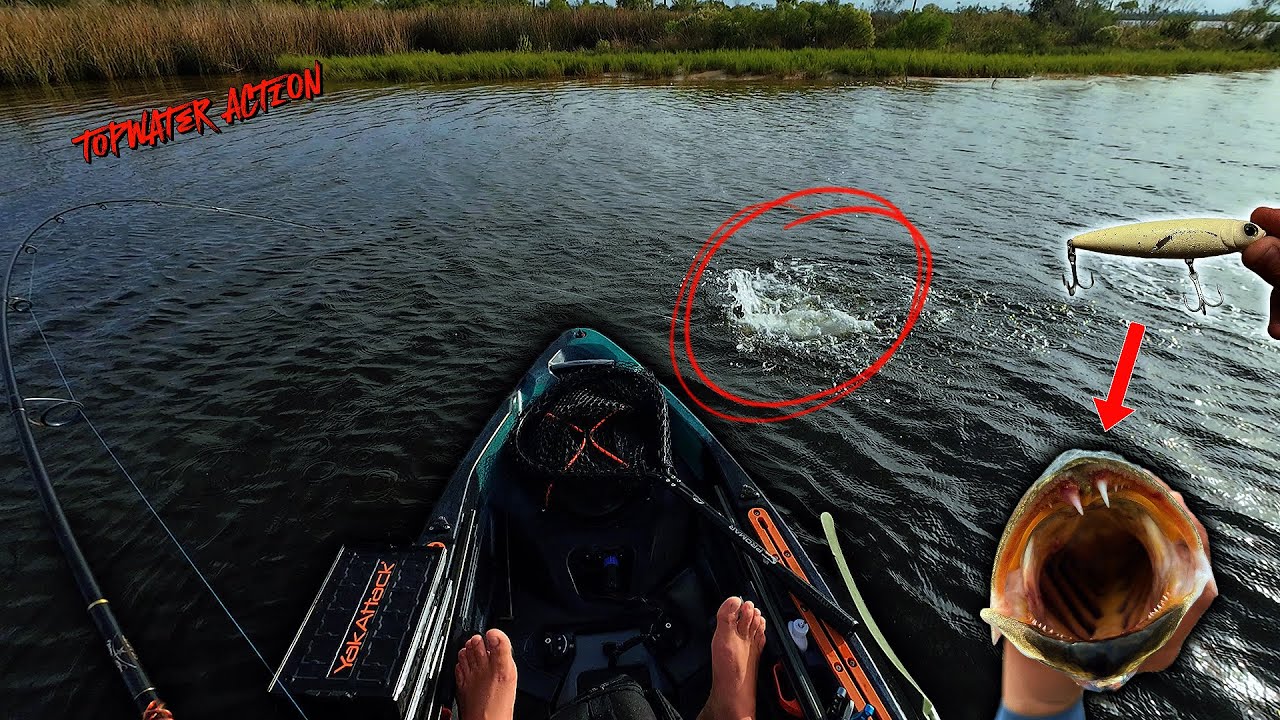The BIG TROUT are HERE and they're CRUSHING this lure RIGHT NOW! - [Yozuri Pencil Topwater Action]