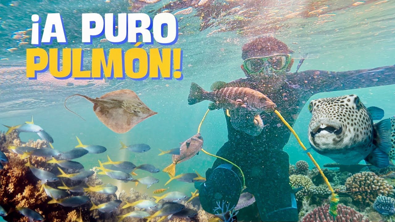 A PURO PULMÓN | La increíble pesca de mariscos frescos en Acapulco.