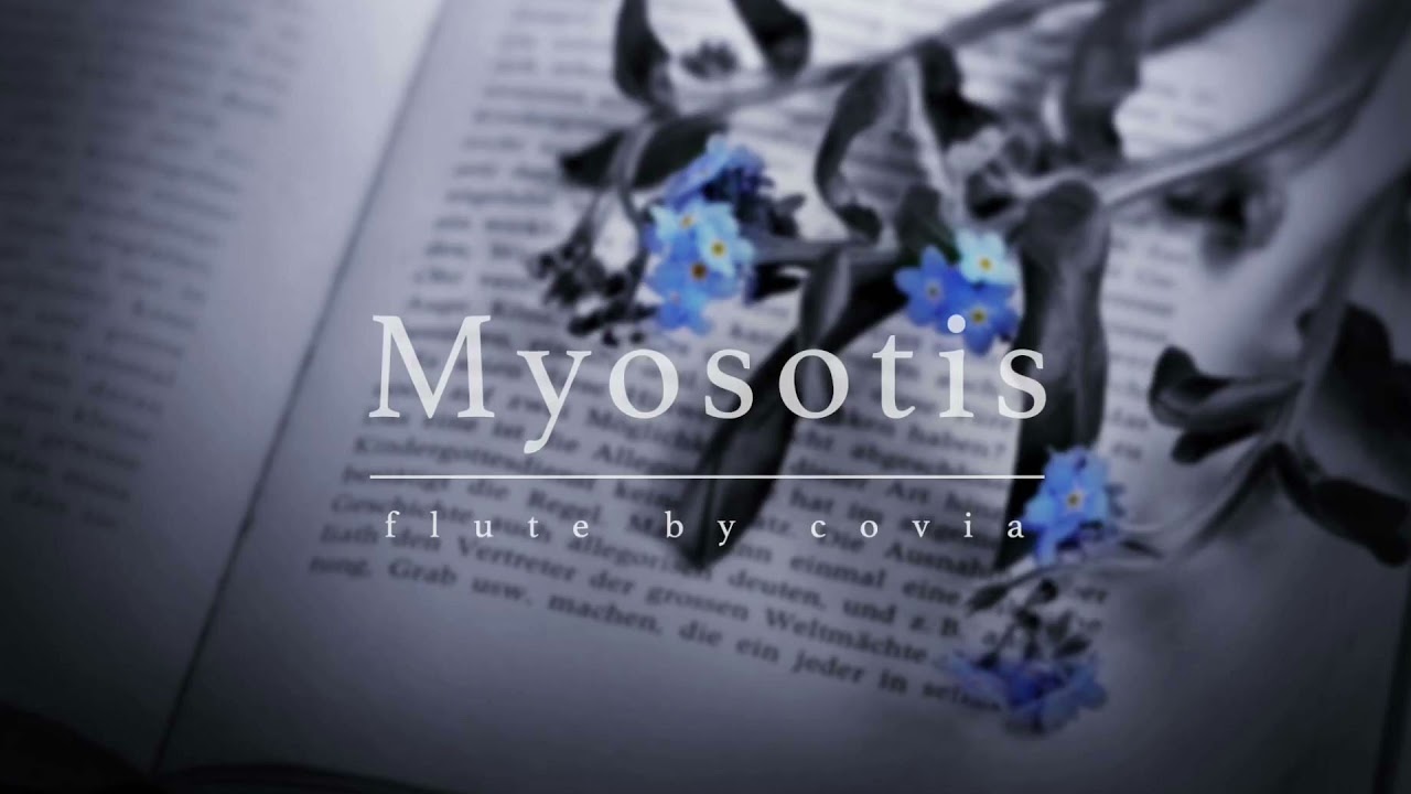 【DEEMO】M2U / Myosotis (Flute Cover)