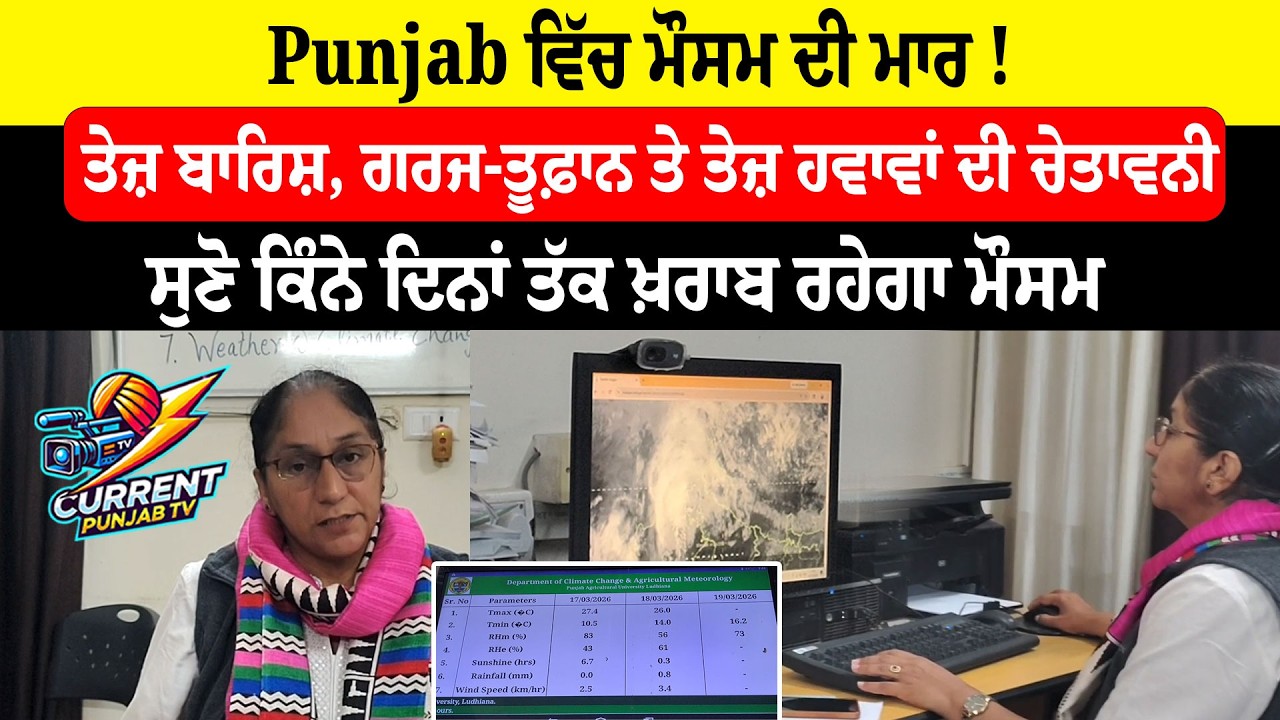 Punjab Weather Alert: Heavy Rain,Thunderstorms & Strong Winds WarningRain & Storm Warning in Punjab