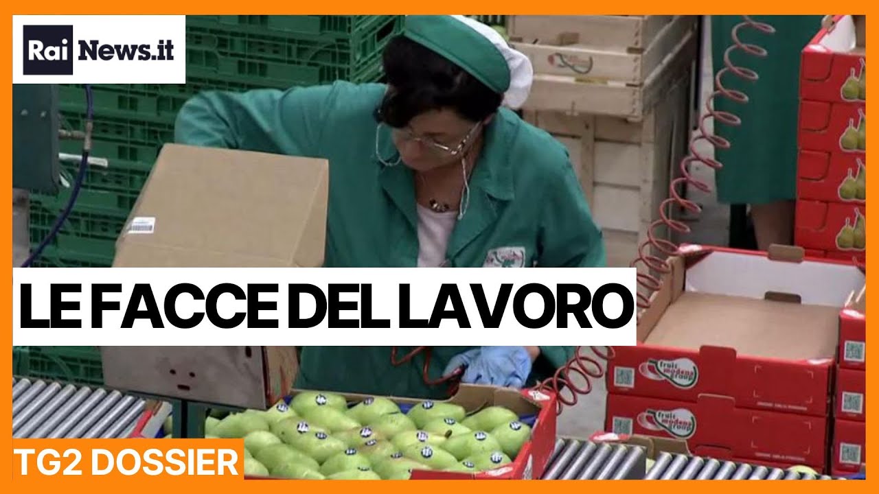 Le facce del lavoro - TG2 Dossier