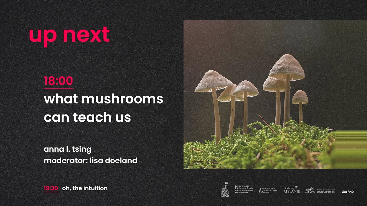 Anna L. Tsing - What We Can Learn From a Mushroom
