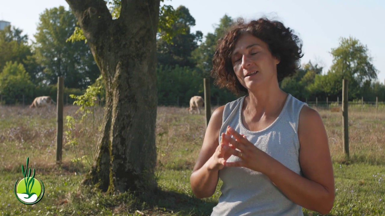 Circolo Agrario Friulano - Tenuta Marianis
