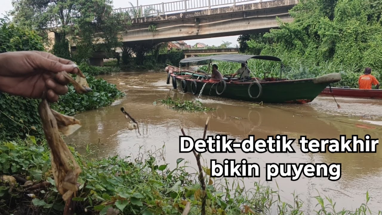 ‎Detik detik terakhir‼️Umpan disambar saat mancing di sungai Musi tapi zonk | Solo Fishing