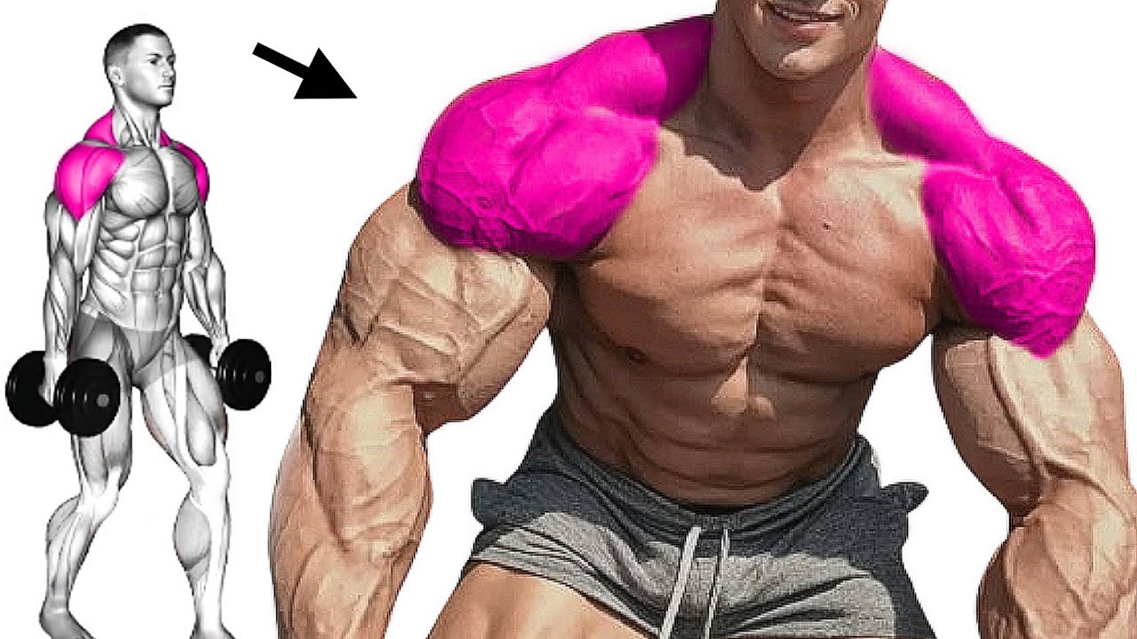 The Best Workout for Shoulder and Traps Development Really Workable