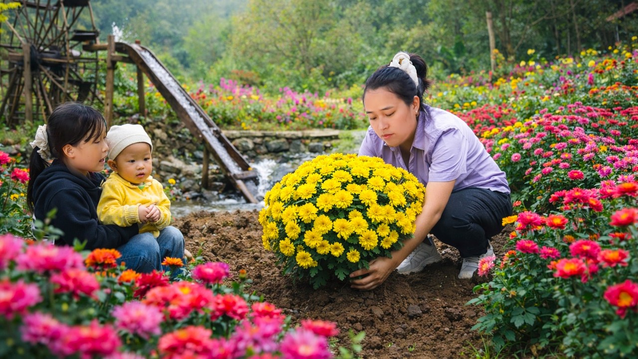 A Lush Green Farm and a Peaceful Life Caring for Livestock | Ly Thi Ca