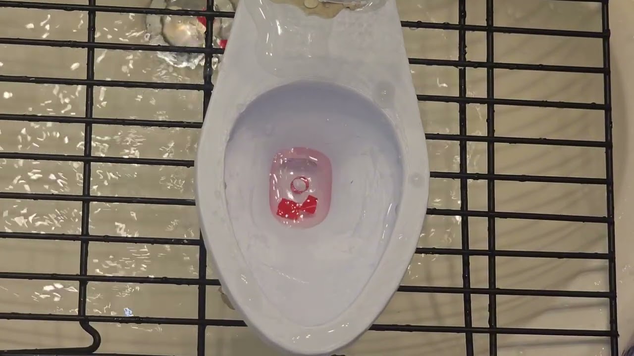 ELT Consaul flushing and Tests 