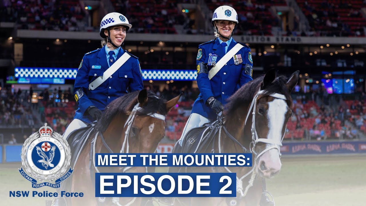 Meet the Mounties: Training the Team - NSW Police Force