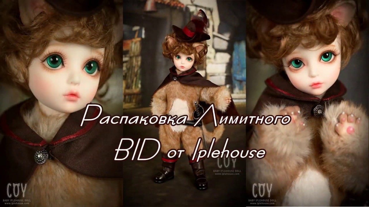 Распаковка Лимитного BID-Q Кои от Iplehouse