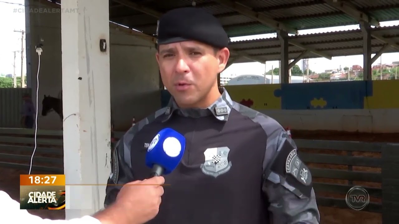 Projeto de equeoterapia da cavalaria da PM realiza mais de 3500 atendimentos em 2025