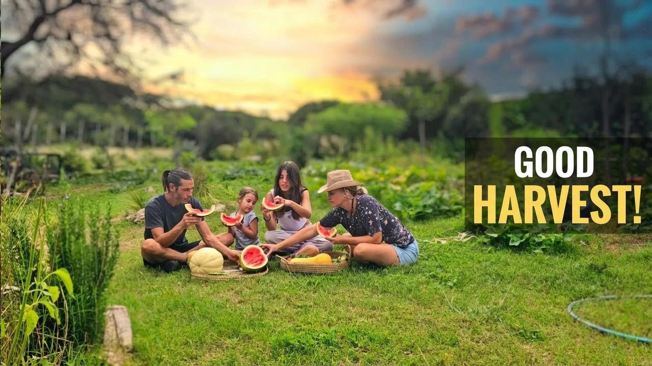 🌿 Last Summer Harvest 🙌 See Soy's Home Now! | Mountain Garden Tour