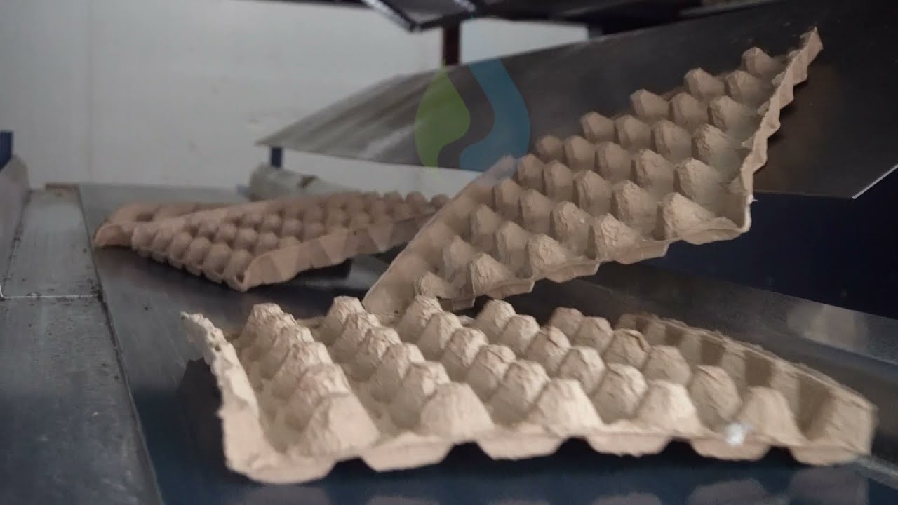 AS 1000 EGG TRAY MACHINE