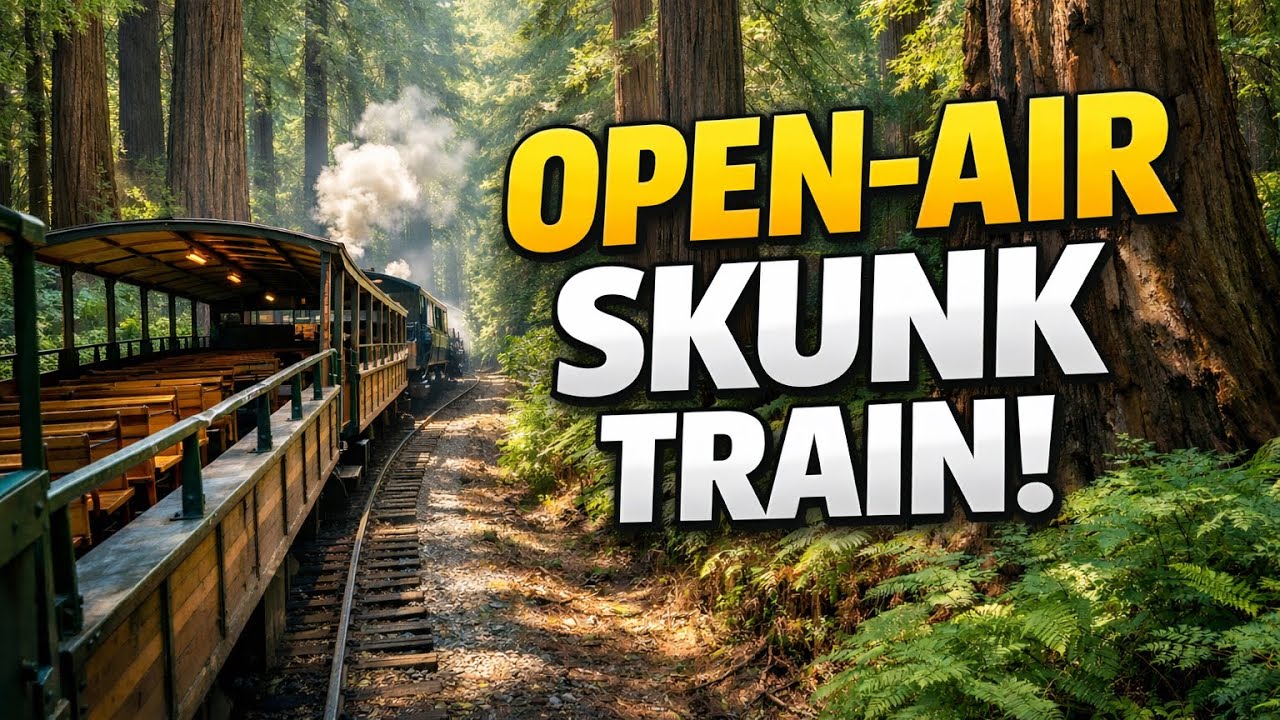 🚂 Open-Air Skunk Train Ride Through the Redwoods! | Breathtaking Views 🌲
